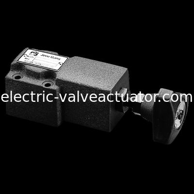 좋은 가격 DG.DT.Remote 통제 기복 압력 통제 벨브 Jeou 갱 압력 벨브 온라인