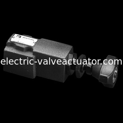 좋은 가격 DG.DT.Direct 유형 안전 밸브 압력 통제 벨브 온라인