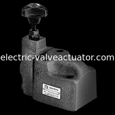 좋은 가격 Jeou 갱 BG sereis 조종사는 안전 밸브 압력 통제 벨브 BG-03 BG-06 BG-10를 운영했습니다 온라인