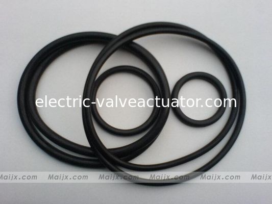 좋은 가격 NBR/실리콘 발전소 벨브 불소 - 고무 - O - 반지 온라인