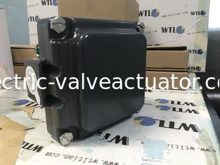 좋은 가격 TVH-E20GNPM TOPWORX Emerson 밸브 모니터 (하드코트 아노다이즈드 알루미늄 또는 316 스테인리스 스틸) 온라인