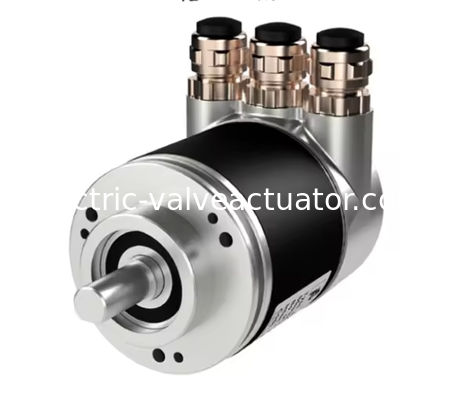 좋은 가격 새로운 오리지널 P+F 인코더 EVM58N-011PNR0BN-1213 온라인