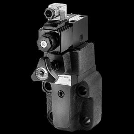 좋은 가격 BSG.Solenoid 통제 안전 밸브 압력 통제 벨브 온라인
