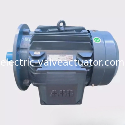 좋은 가격 M2QA200LB6 22KW 6극 3단계 비동기 모터 IC411 자기 냉각 온라인