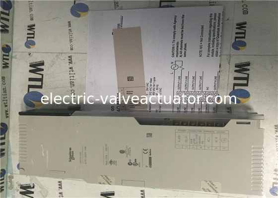 좋은 가격 Schneider Electric Programable Logic Controller 140CPS11420 Power Supply Module 온라인